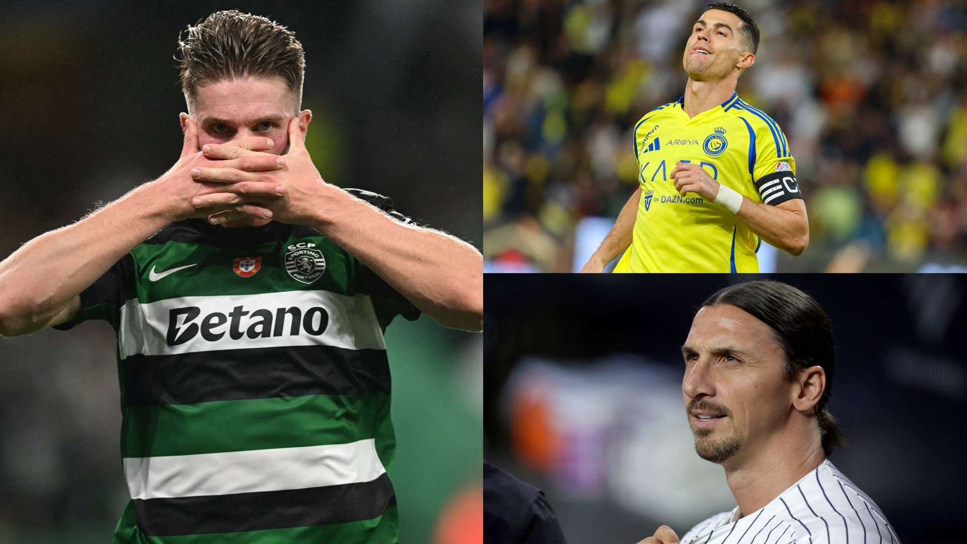 的拼搏气息 的拼搏气息